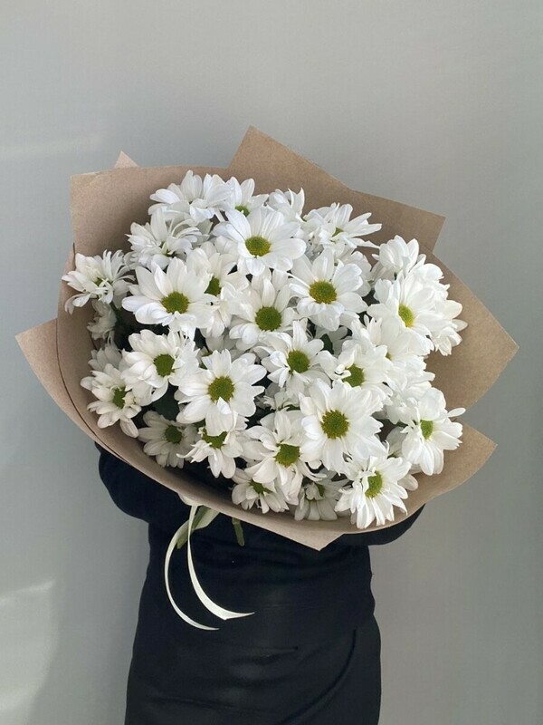 Hrizantema, standart