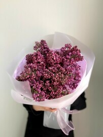 buket Sireni