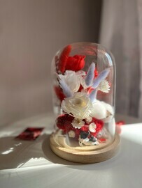 Roza v kolbe,florarium,klosh,buket stabilizirovannih tcvetov,podarok