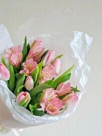 Nezhnij mini-buket-kompliment iz tyul_panov i al_stromerii