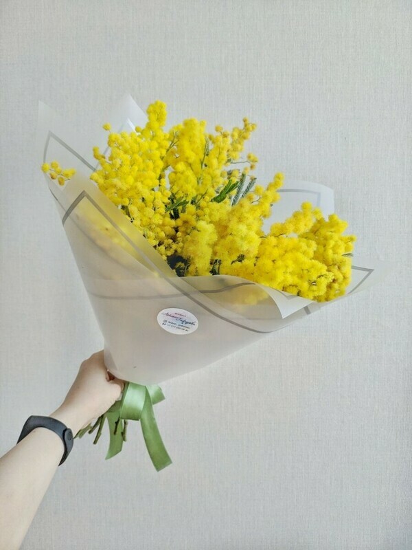 Sochnaya vesennyaya mimoza, standart