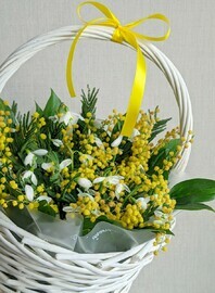 Корзинка ранней весны с мимозой и альстромерией