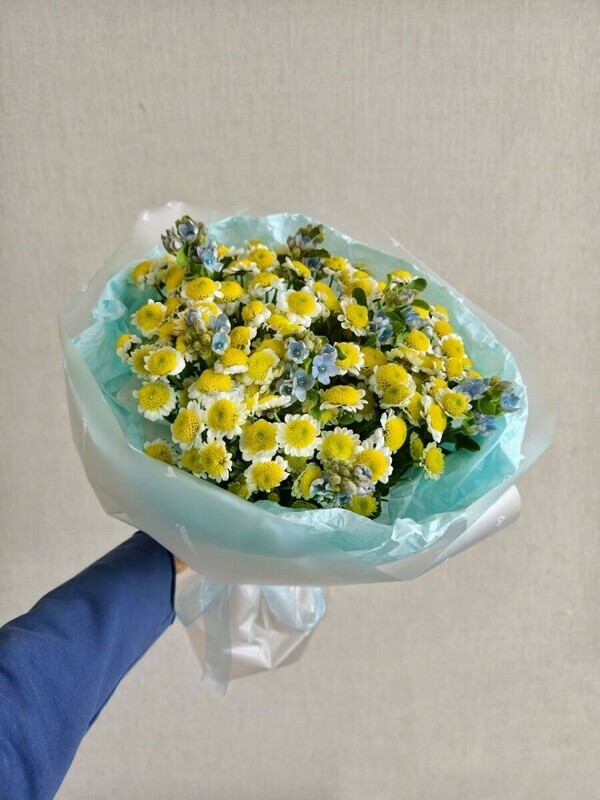 YArkij buket iz romashek, standart