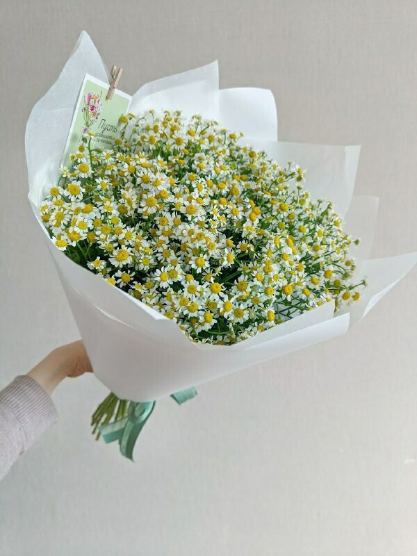 Buket "Polevie romashki", luxe