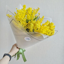 Сочная весенняя мимоза