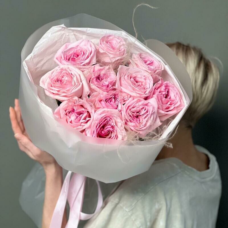 Aromatnie rozi Pink Ohara, standart