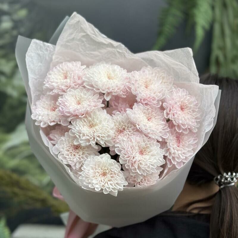 Моно из нежной хризантемы, стандартный