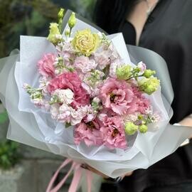 Le Chic Choc | МАТТИОЛА - ЭУСТОМА