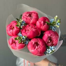 Buket «Raspberry» / 7 pion Coral Charm-nezabudka
