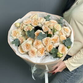 Kustovie rozochki Pavlova