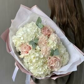 Гортензия белая с пудровыми цветами