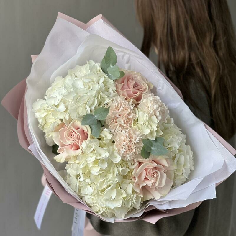 Гортензия белая с пудровыми цветами, стандартный