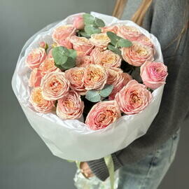 Pionovidnie kustovie rozi Tendresse