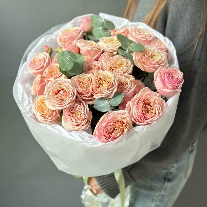 Pionovidnie kustovie rozi Tendresse, standart