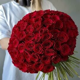 101 krasnaya Keniya dlya lyubimoj