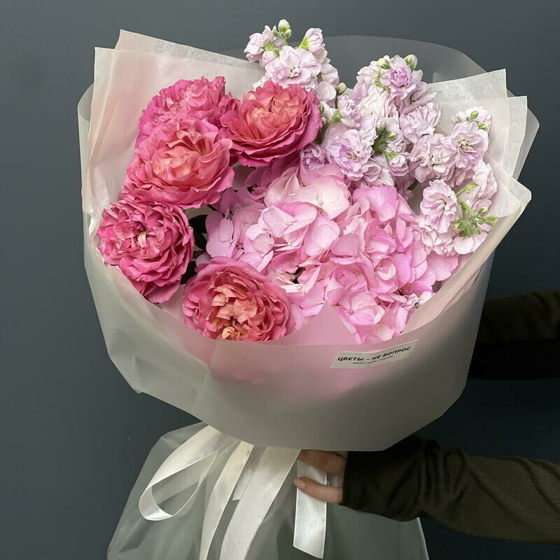 Mi-collection N4, standart