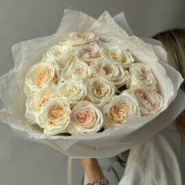 White O Hara парфюмированные розы 15 