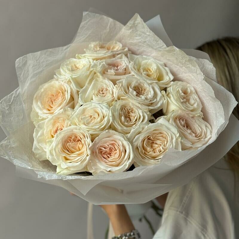 White O Hara parfyumirovannie rozi 15, standart