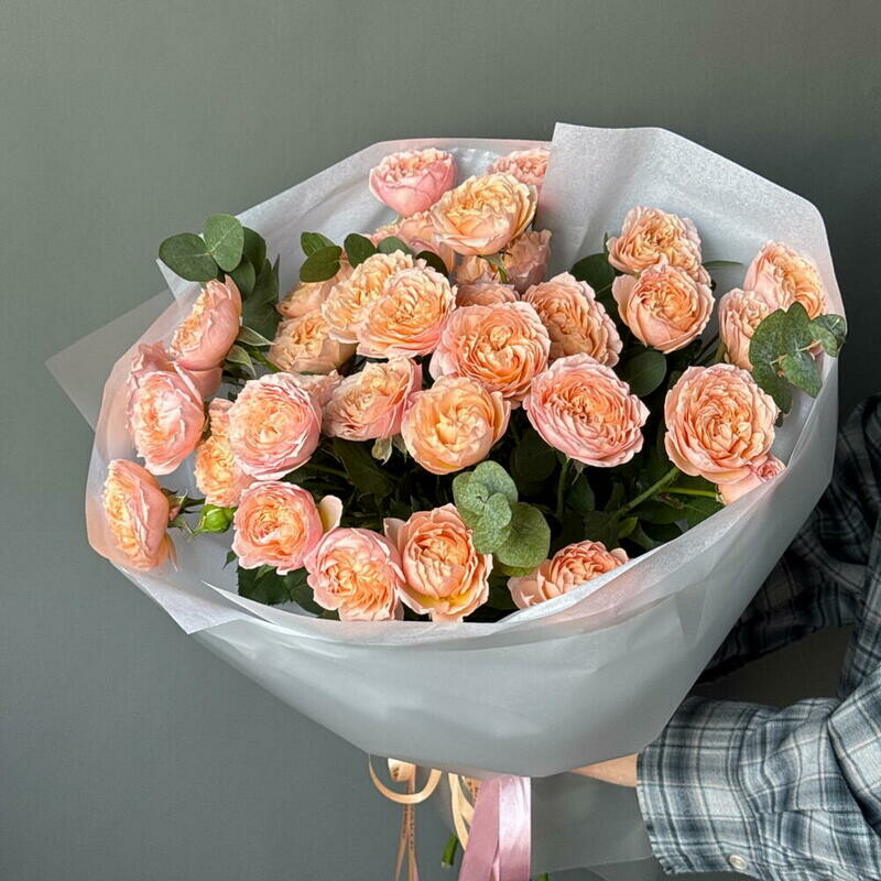 Mono iz kustovih pionovidnih roz Dzhul_etta, standart