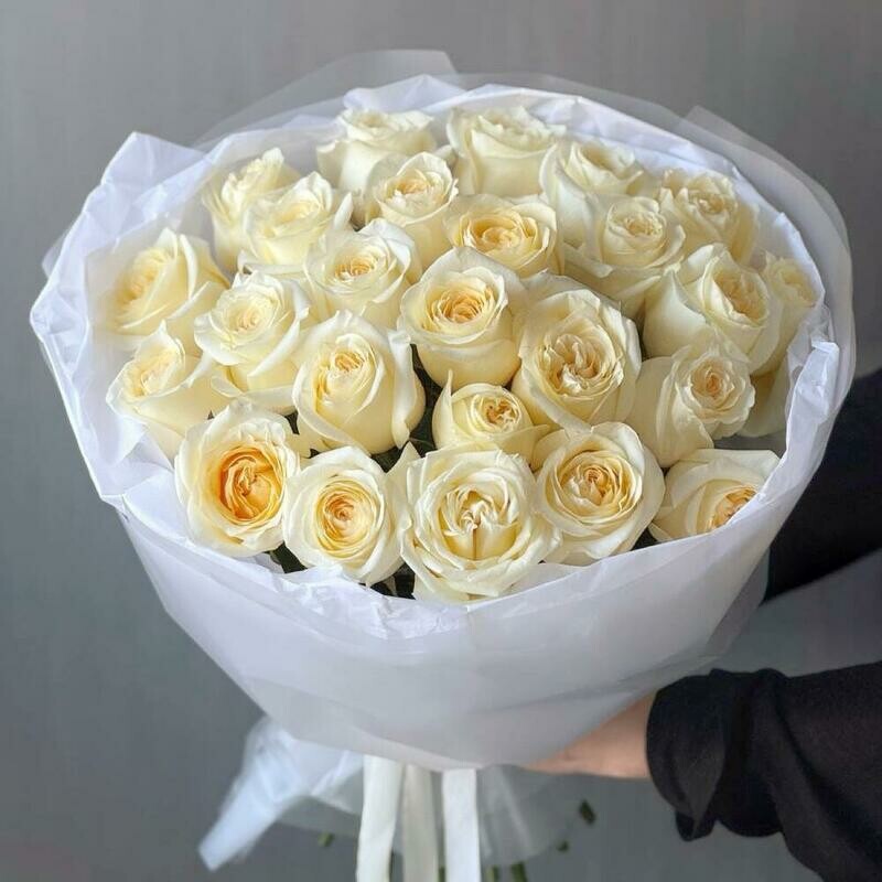 25 пионовидных роз Candlelight «Ароматный шлейф», стандартный