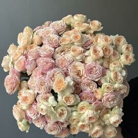 Кустовые пионовидные розы 25