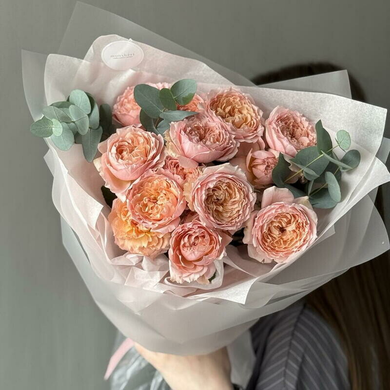 Kustovie rozi DZHUL_ETTA | 3, standart