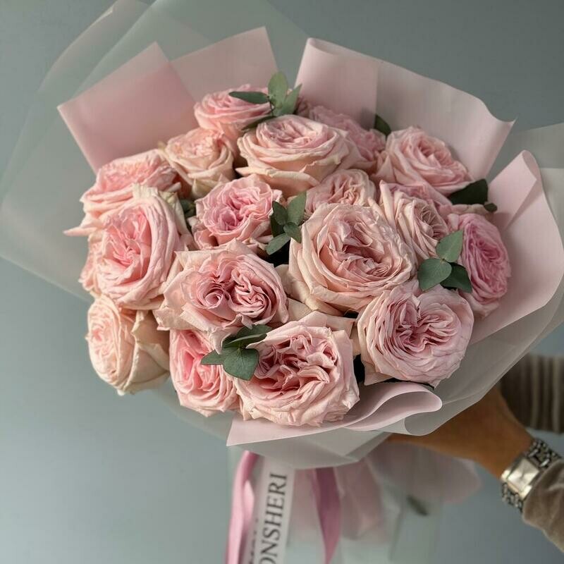 Самые парфюмированные розы Pink O Hara 19, стандартный