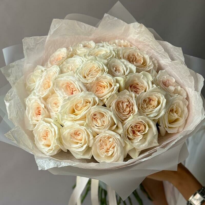 White O hara pionovidnie rozi 25 shtuk, standart