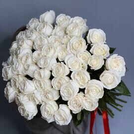 Моно белоснежныз роз Playa Blanca 51