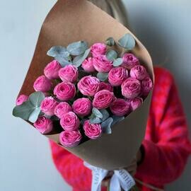 Mono kustovih roz Dzhezel_ s evkaliptom