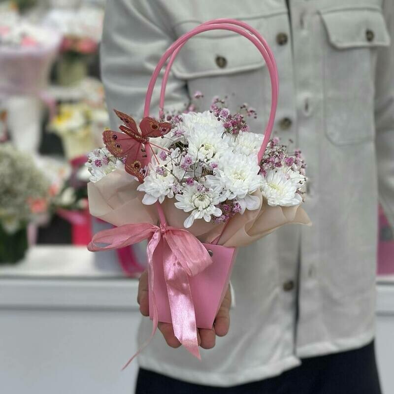 "Новый этап", стандартный