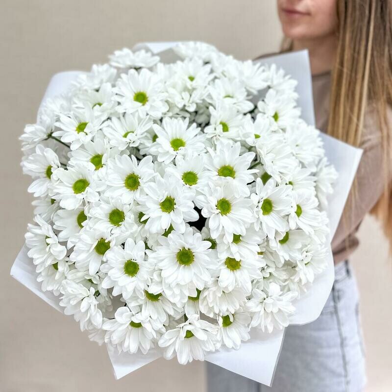 Букет Хризантема ромашка 15 шт, букет хризантема ромашка 15 шт