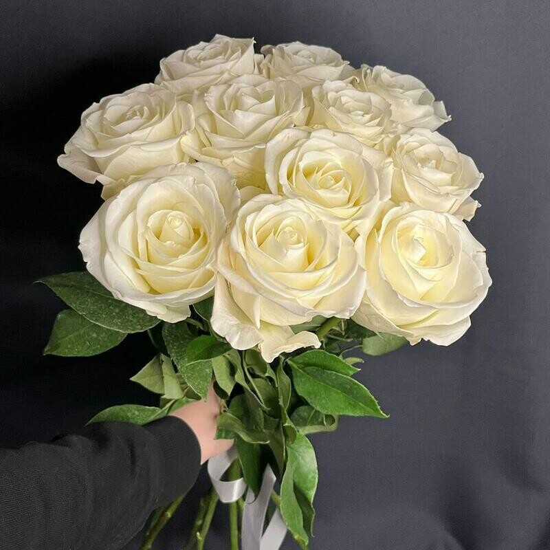 Белые розы, стандартный