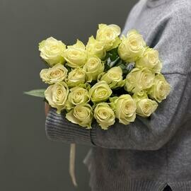 Букет из 19 белых роз