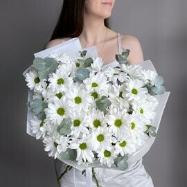 Букет белая кустовая хризантема ромашка и эвкалипт