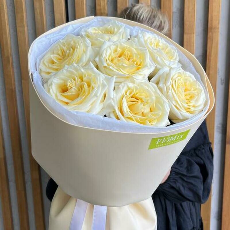 SHikarnie rozochki Kendilajt, standart