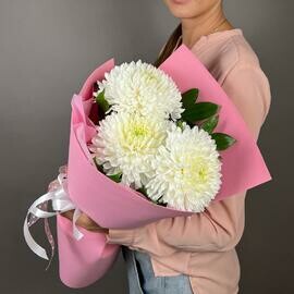 Buket belih hrizantem