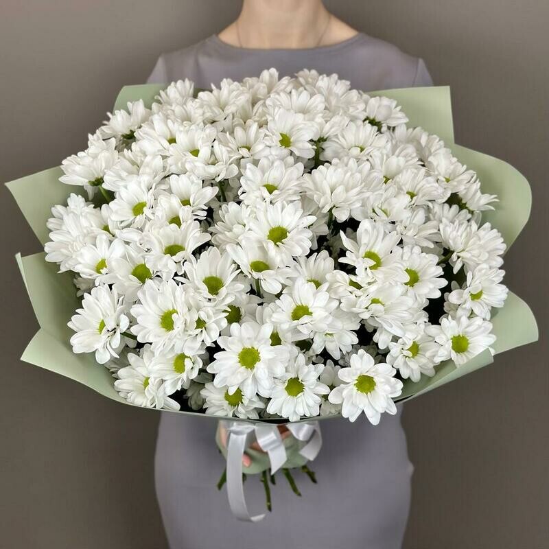 Buket hrizantem (romoshkovidnoj), 15 sht, buket hrizantem (romoshkovidnoj), 15 sht