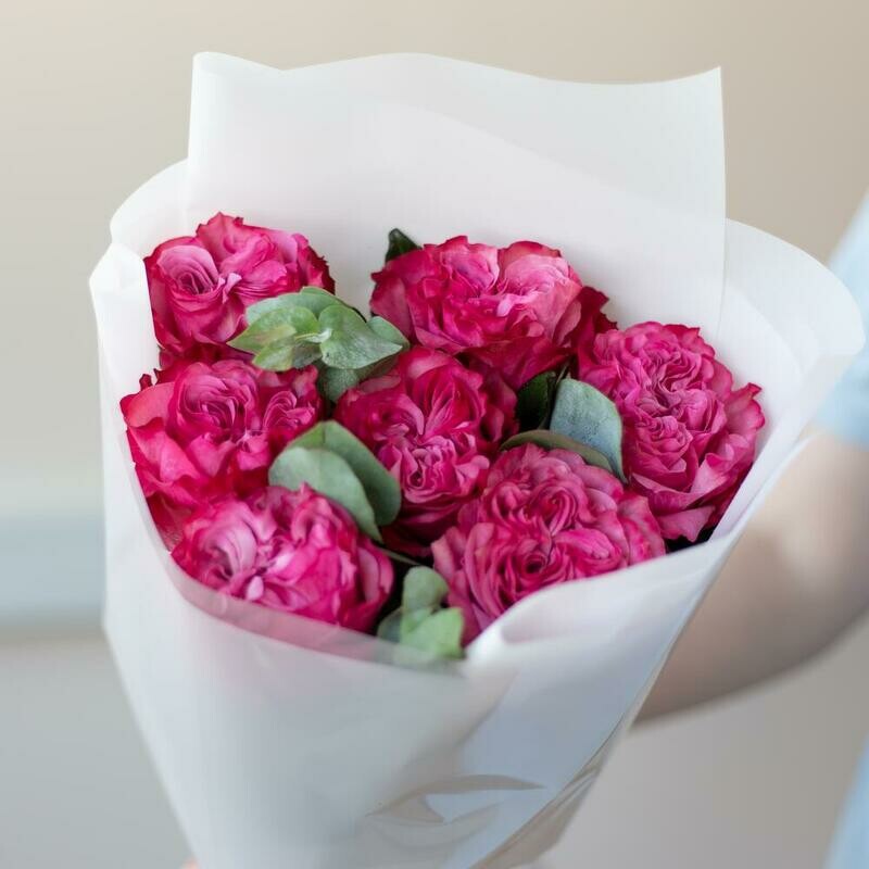 YAgodnoe nastroenie, standart