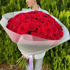 Bol_shoj buket iz 55 krasnoj rozi