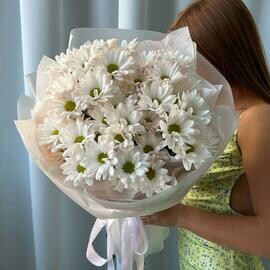 5 ромашек кустовых