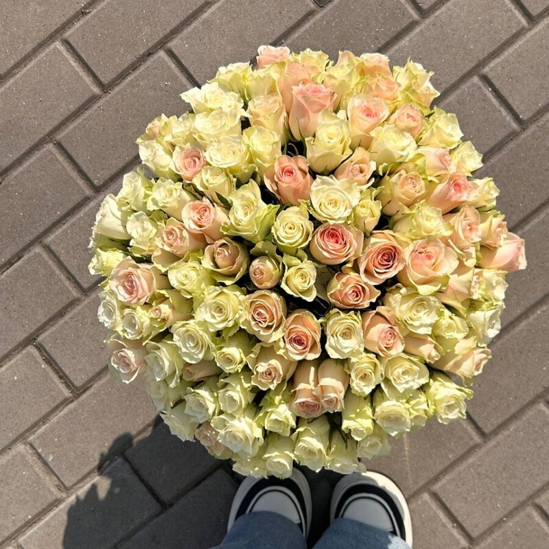 101 importnaya roza, 101 roza