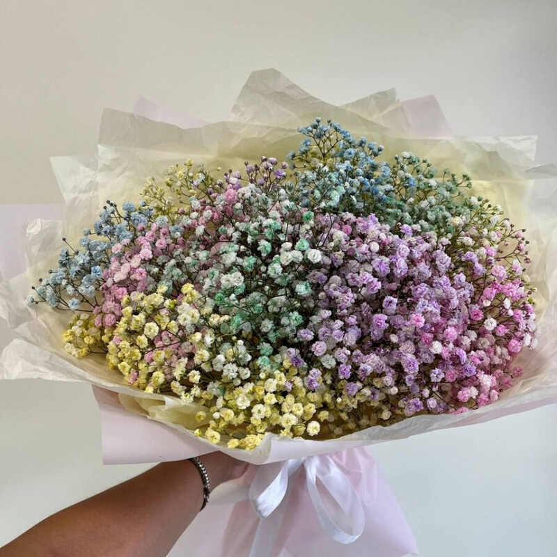 buket iz gipsofili, tcvetnaya gipsofila