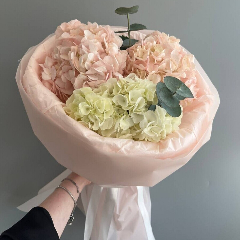 Букет гортензий, гортензия