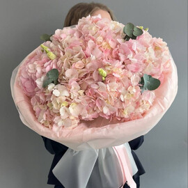 Нежное облако гортензий