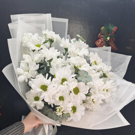 Ромашка с эвкалиптом