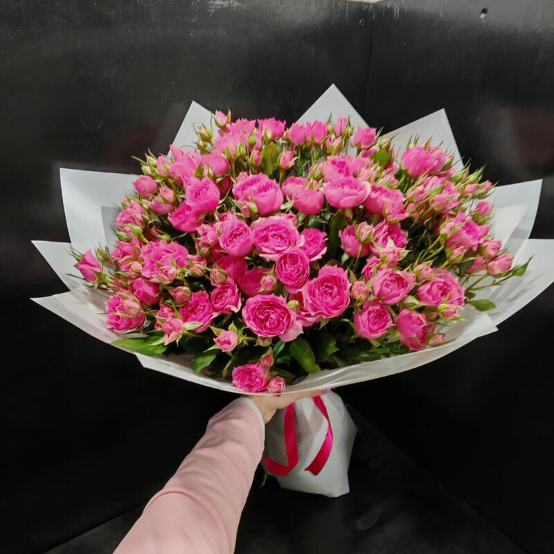 11 kustovih roz, 11 kustovih roz