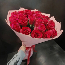 Эксплорер 25