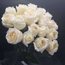 Роза под ленту