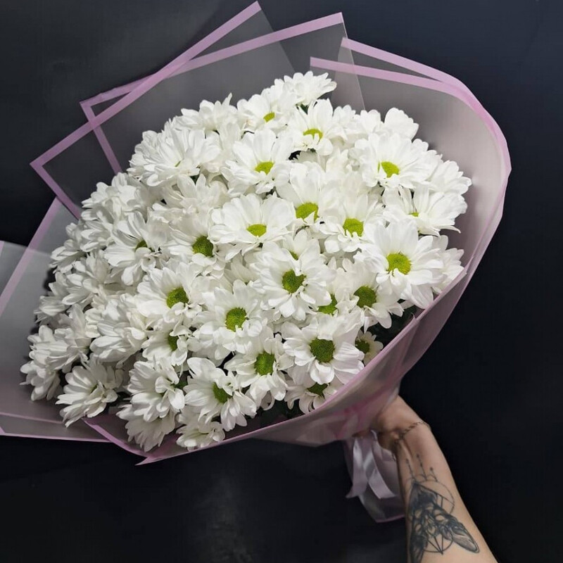 Ромашки, стандартный